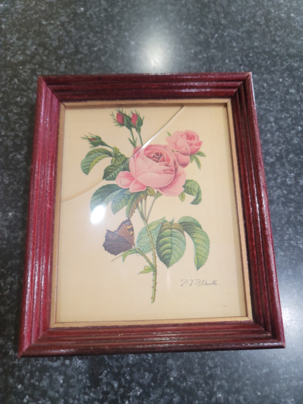 Vintage Framed Rose Botanical Art Print in Red Wood Frame